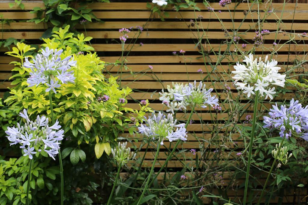 Shoreditch 1 With Garden Londýn Pokoj fotografie